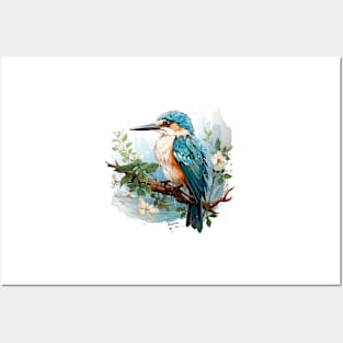 Kingfisher Posters and Art